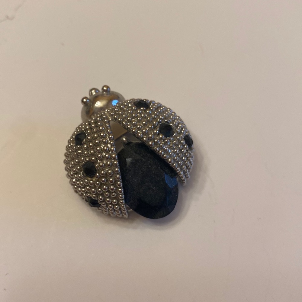 Ladybug Brooch